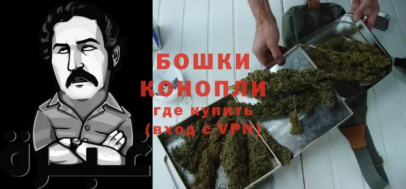 Каннабис Bruce Banner  Кирово-Чепецк 